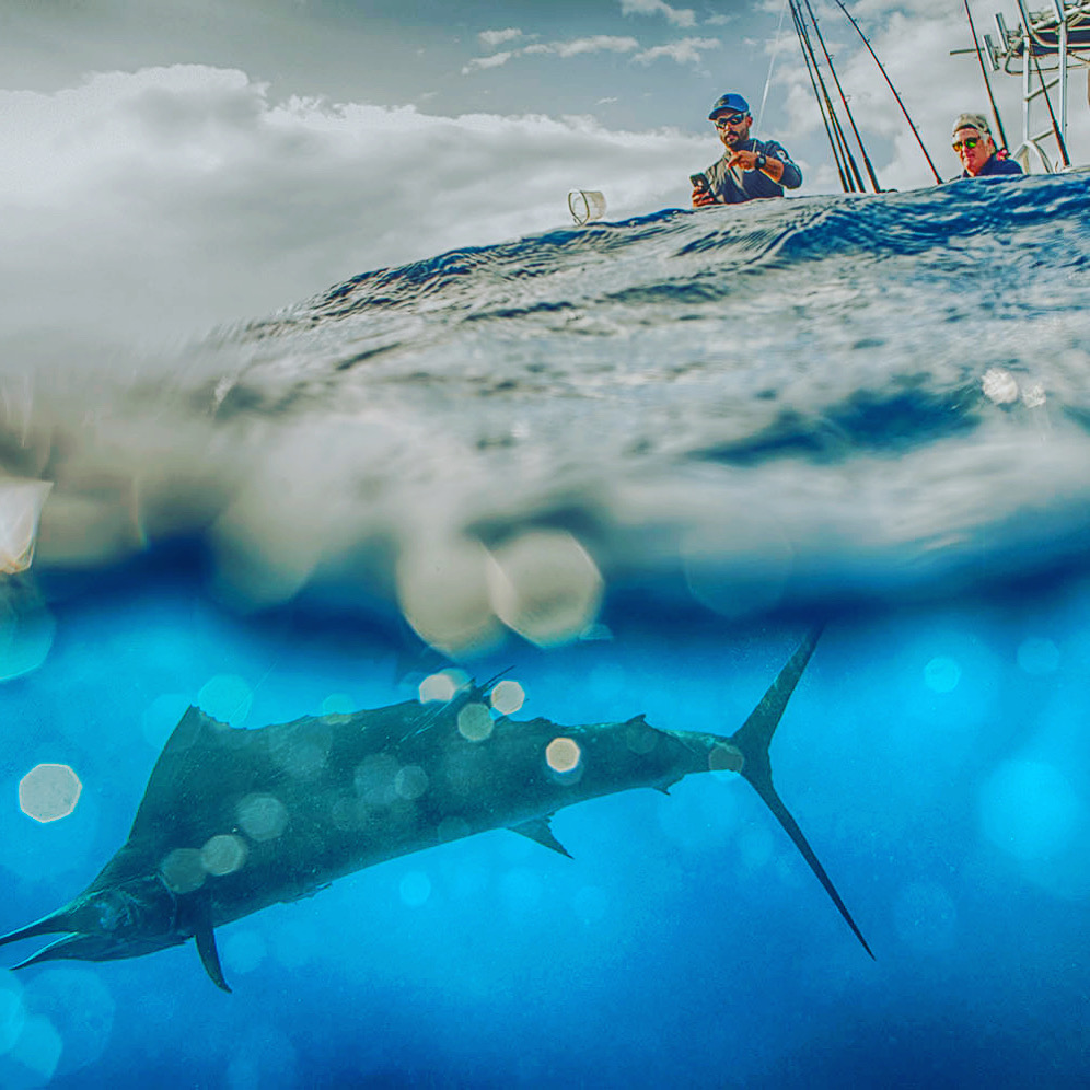 Sport-Fishing Charter