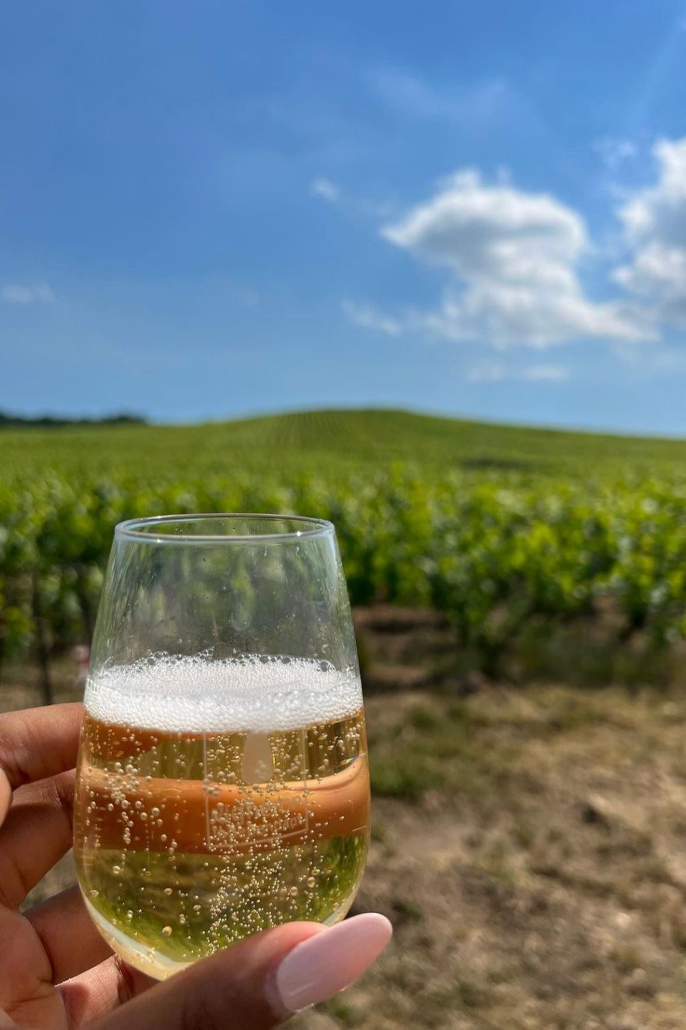 Champagne in Reims