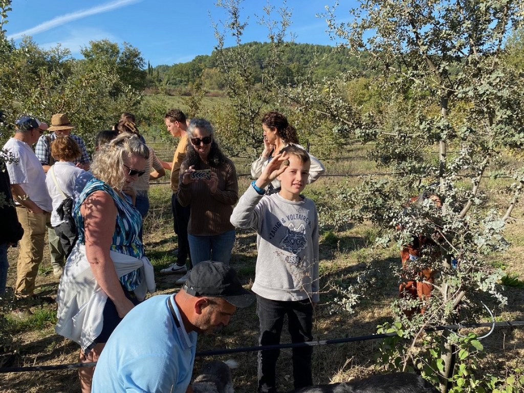 Provence Truffle Hunt